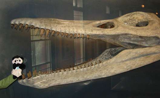 Prof. Steve Steve in the jaws of a Kronosaurus
